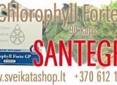 Peržiūrėti skelbimą - Santegra Chlorophyll Forte GP 90 / 861217997
