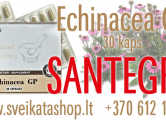 Peržiūrėti skelbimą - Santegra Echinacea EX 30 kaps / 8 612 17997