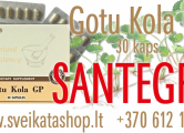 Peržiūrėti skelbimą - Santegra Gotu Kola GP 30 kaps / 8 612 17997