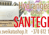 Peržiūrėti skelbimą - Santegra Hydrangea EX 30 kaps / 8 612 17997